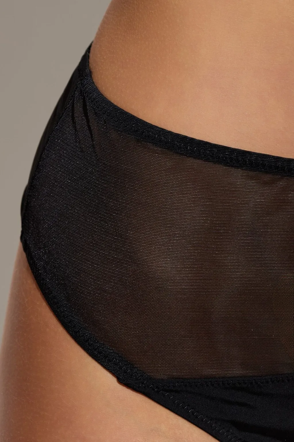 Sheer Panel Bikini Briefs