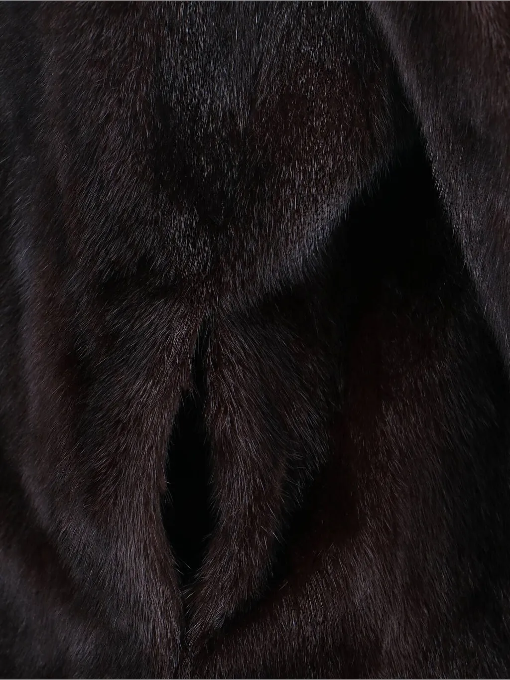 Iacopa Long-Sleeved Hooded Jacket