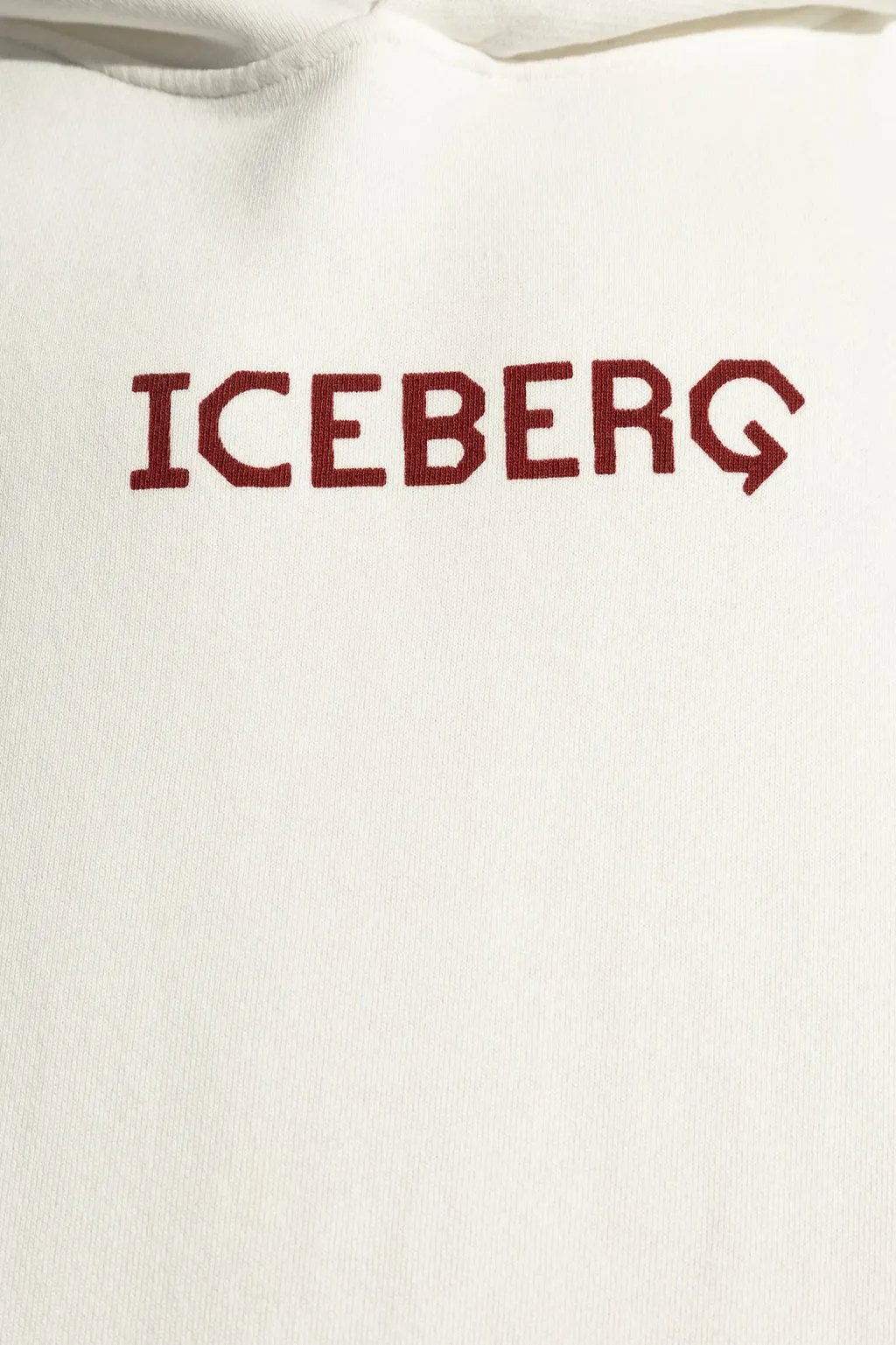 Iceberg Logo Printed Hoodie