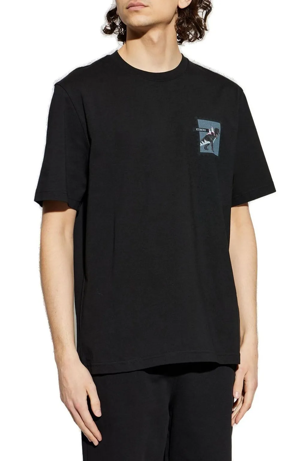 Iceberg Pattern-Printed Crewneck T-Shirt