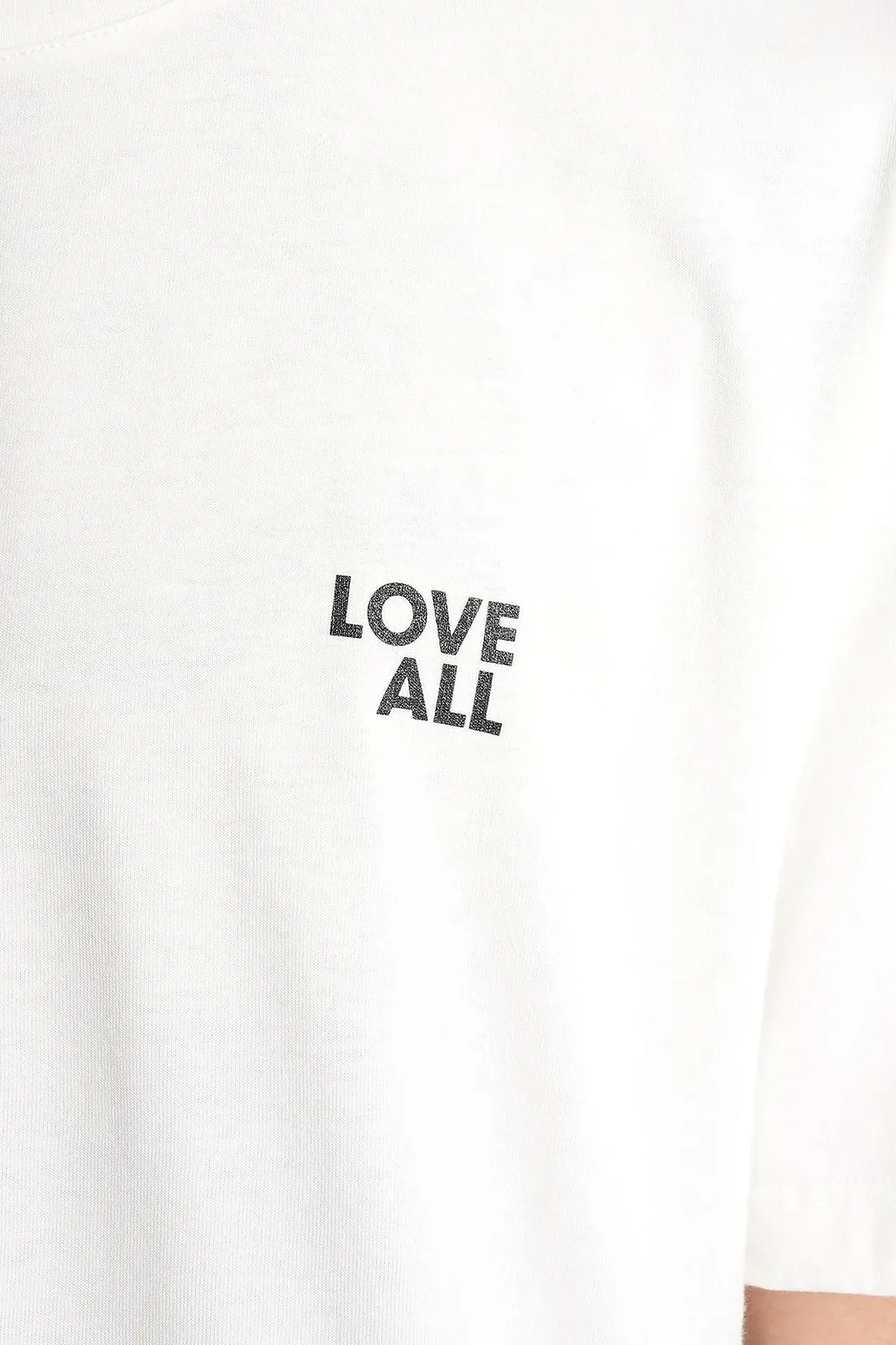 Love All Jesus Crewneck T-Shirt