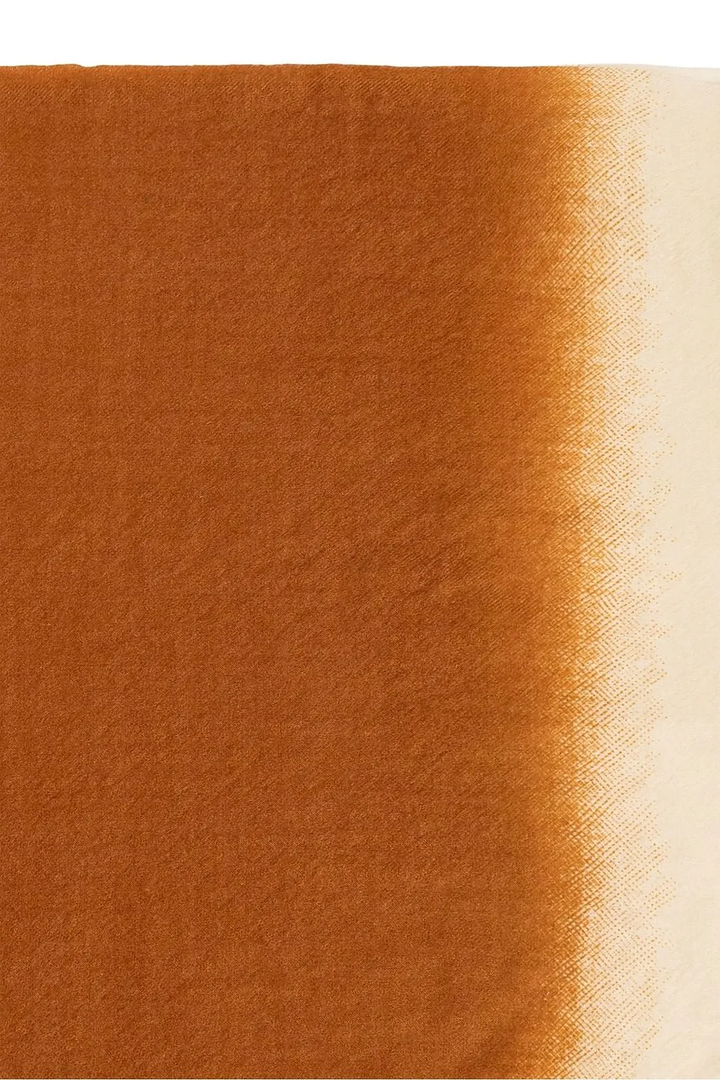 Aleia Gradient Scarf