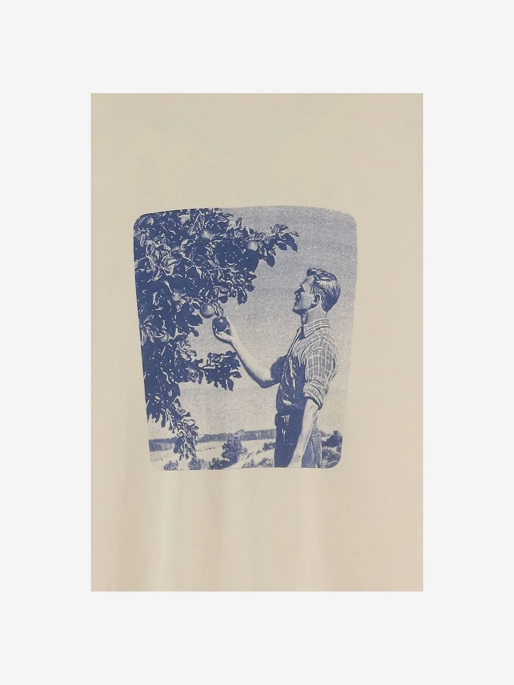 Jw Anderson Fruit Print T-Shirt