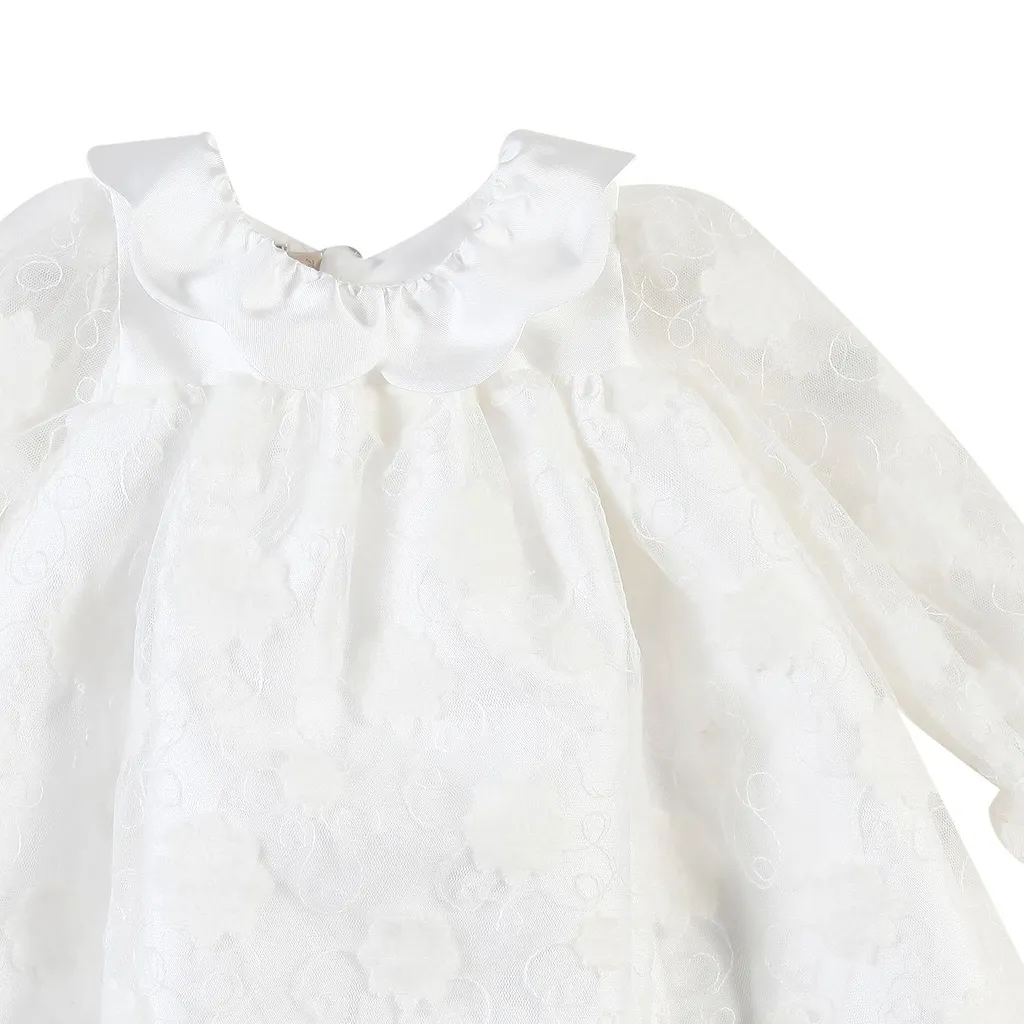 Scallop Collar Jacquard Dress