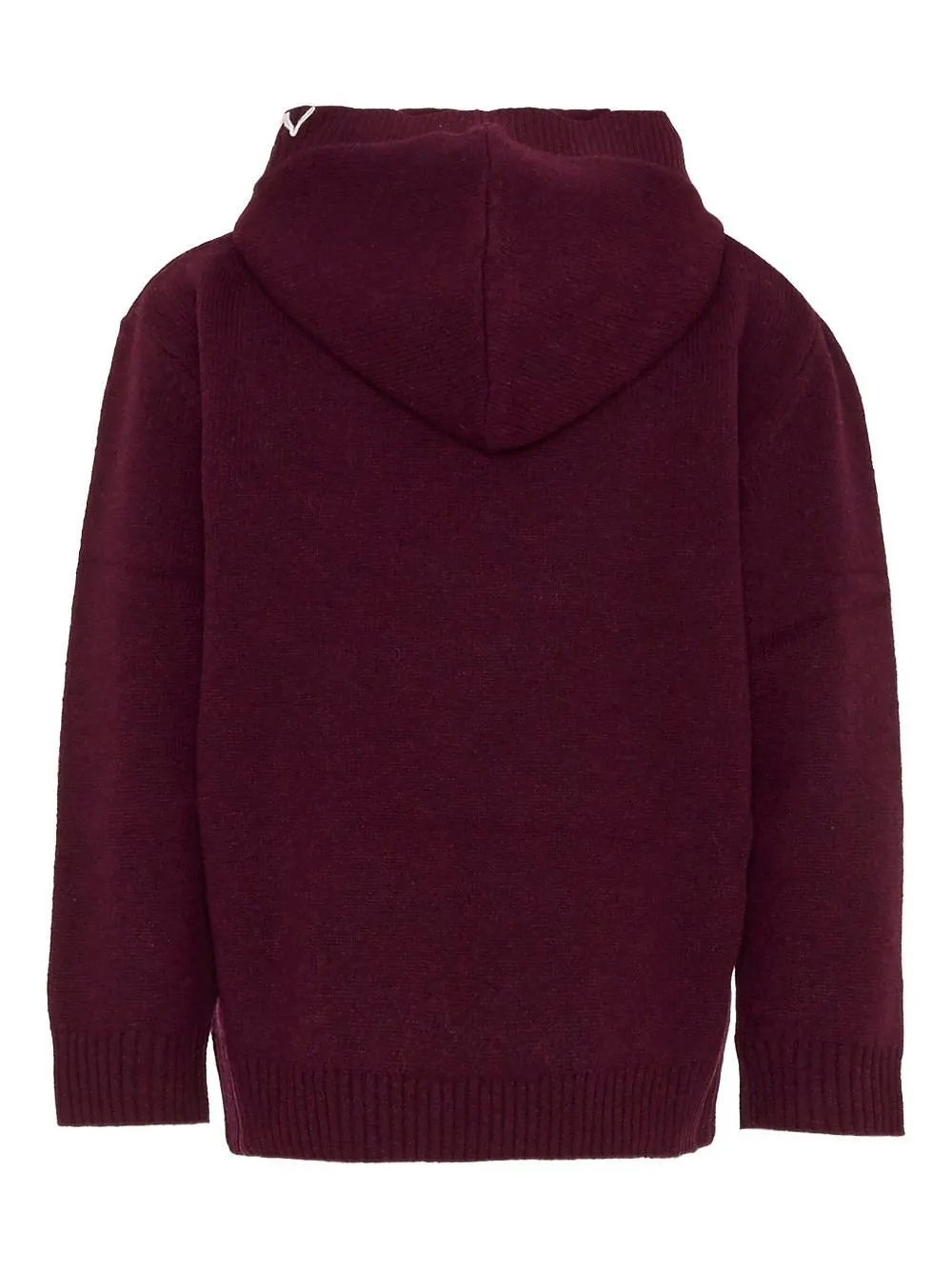 Laneus Long-Sleeved Embroidered Hoodie