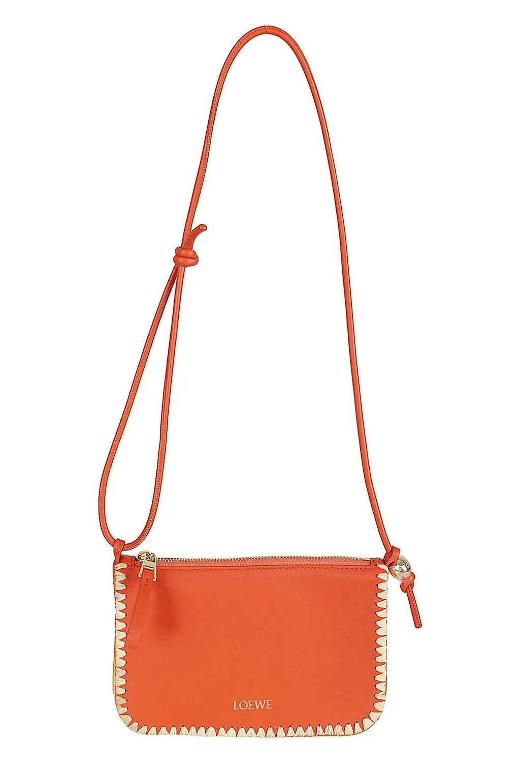 Loewe Rio Pouch Bag
