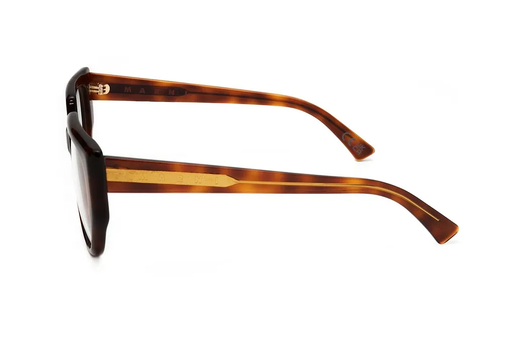 Marni Eyewear Uluru Cat-Eye Glasses And Frames