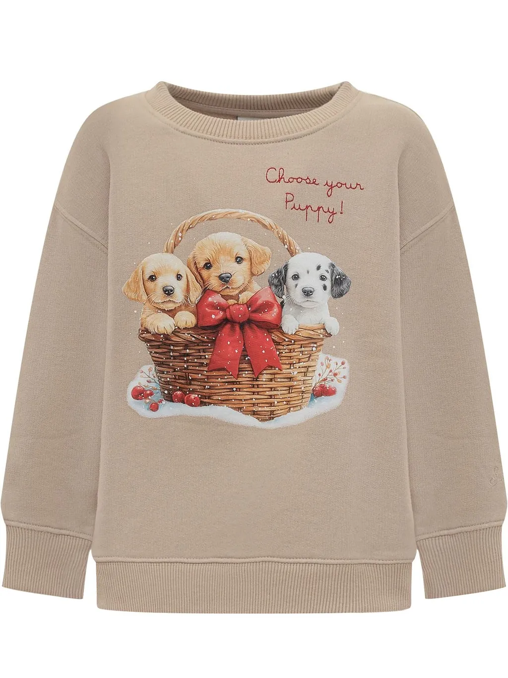 Mc2 Saint Barth Kids Briony Puppy Print Sweatshirt