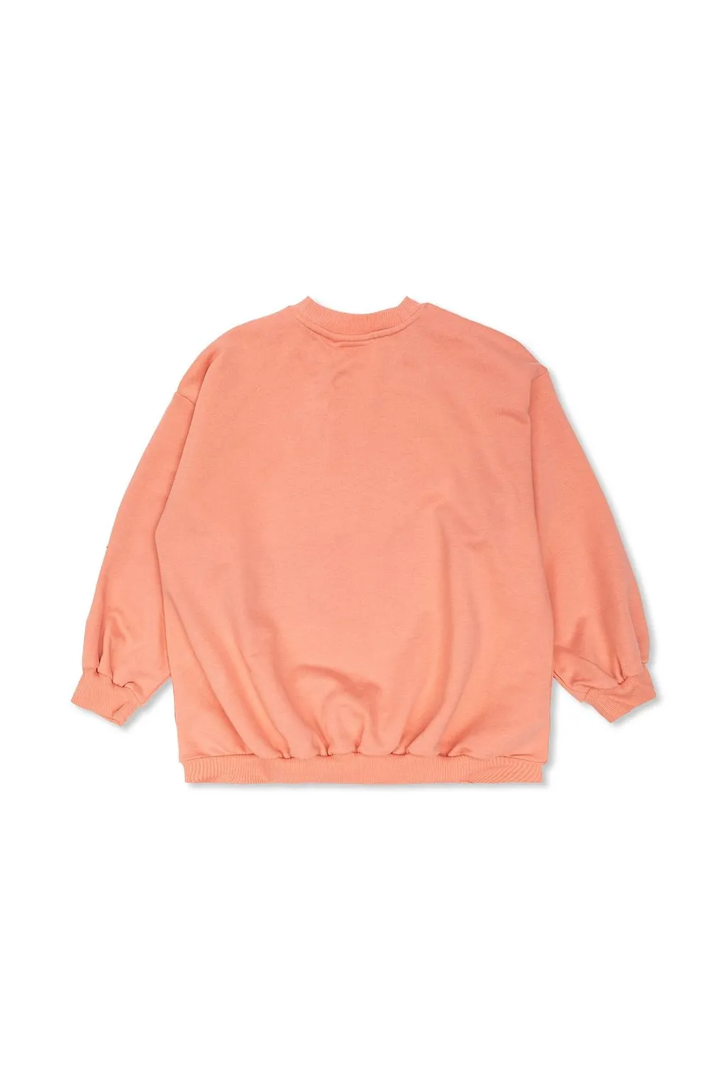 Embroidered Pattern Sweatshirt