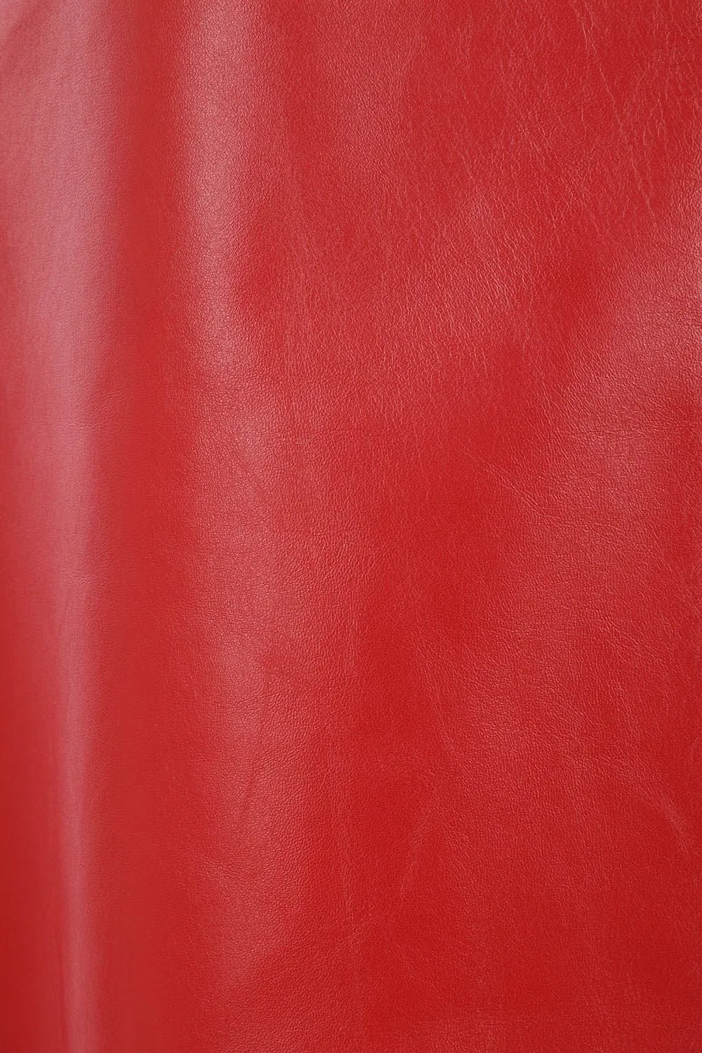 Miu Miu A-Line Skirt