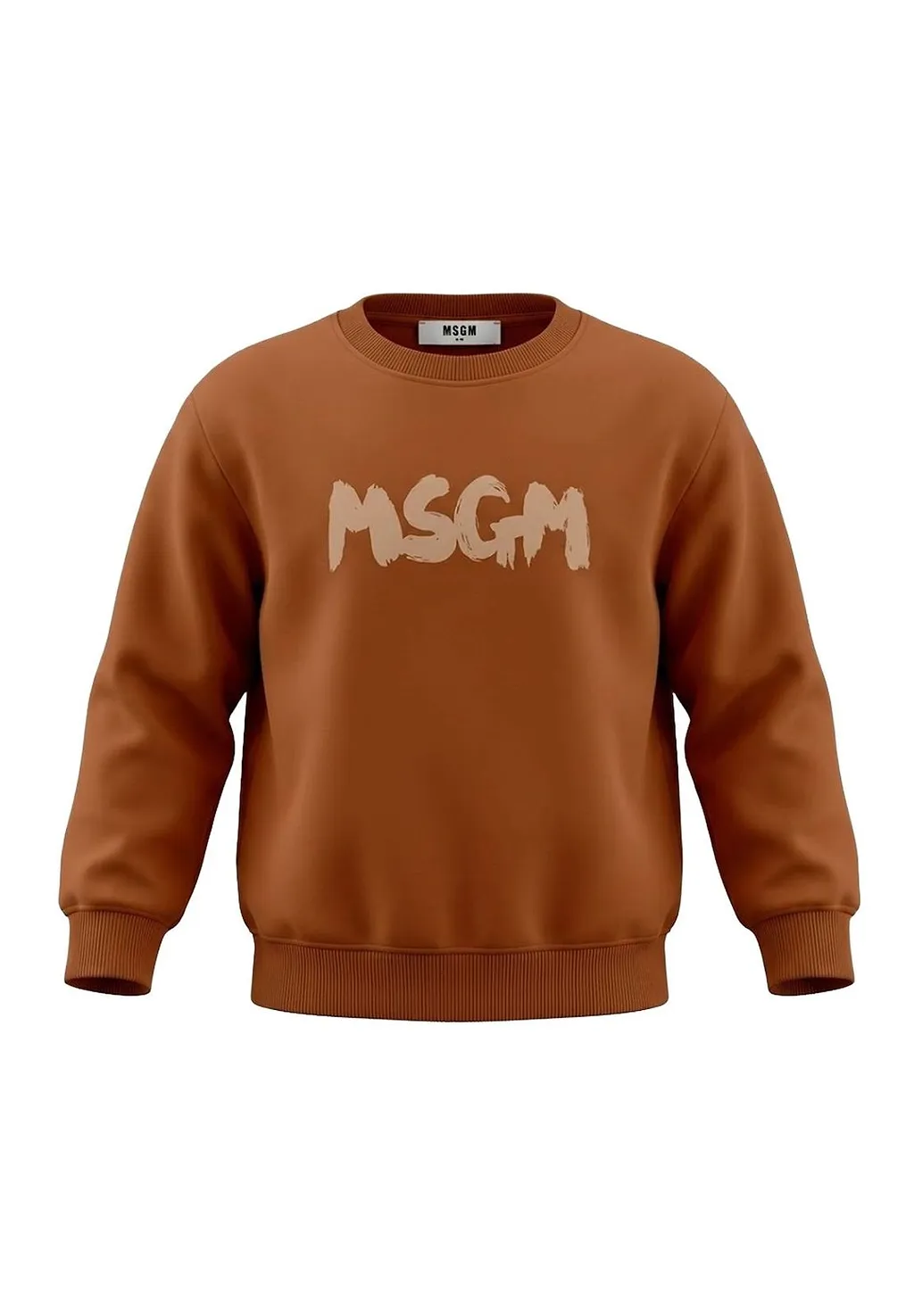 Long Sleeved Sweatshirt