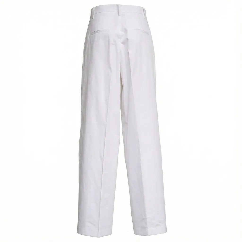 Pleated Pants