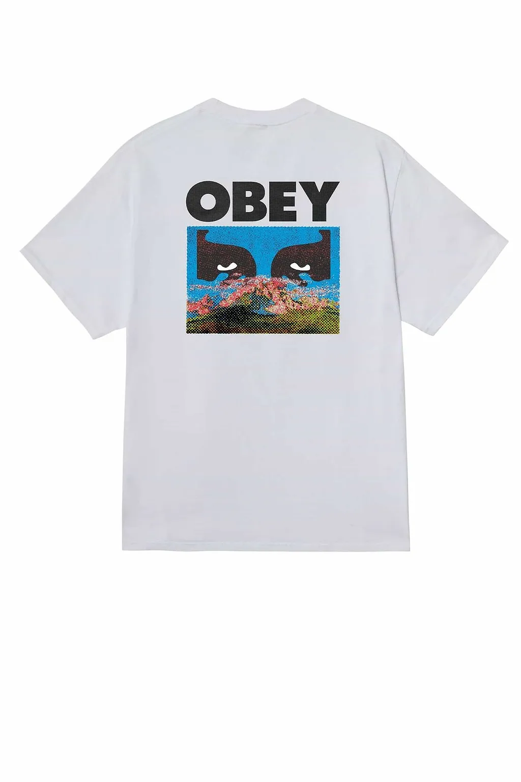 Obey In A Different Place T-Shirt