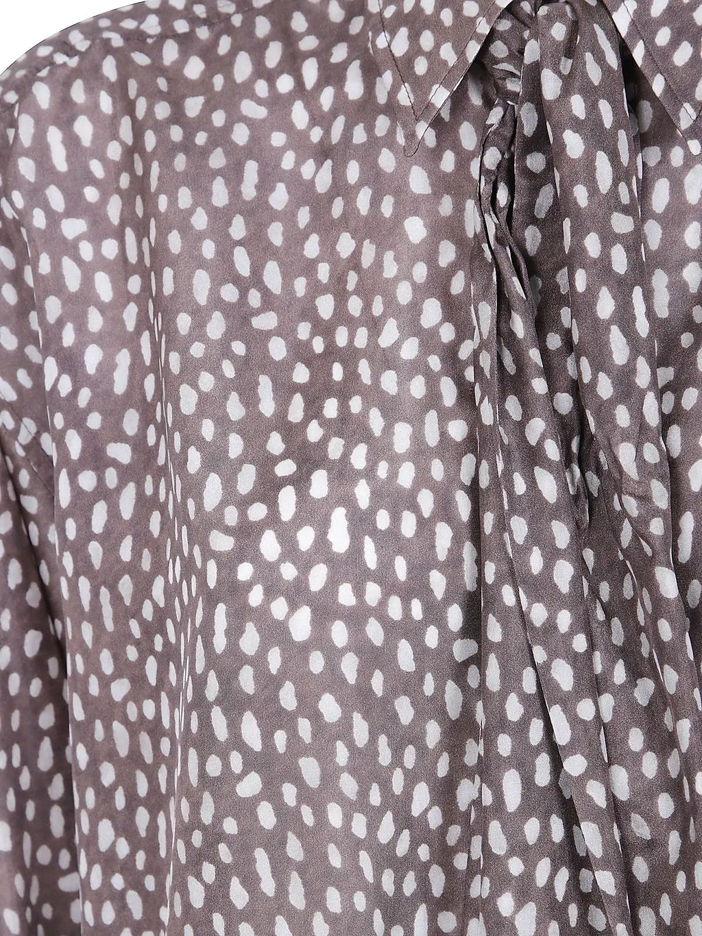 Polka-Dot Printed Long Sleeved Shirt
