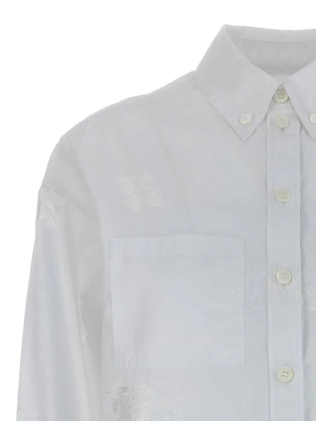 Burberry Long-Sleeved Buttoned Shirt