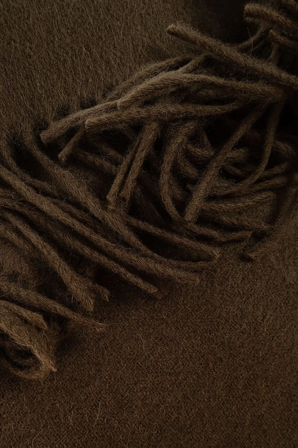 Turtla Fringed Turtleneck Scarf
