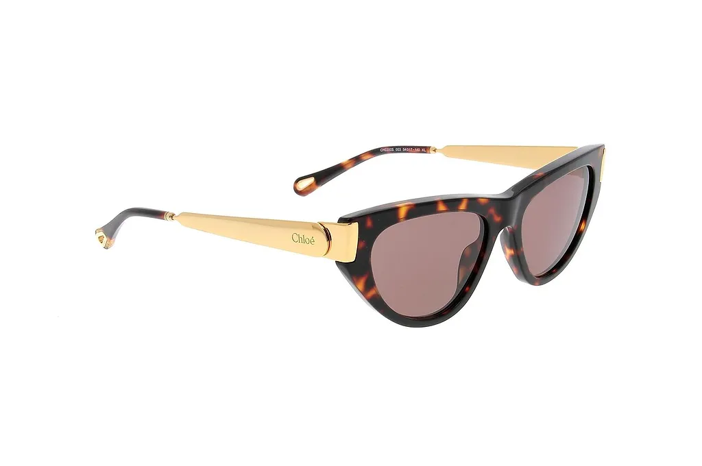 Chloé Eyewear Cat-Eye Frame Sunglasses