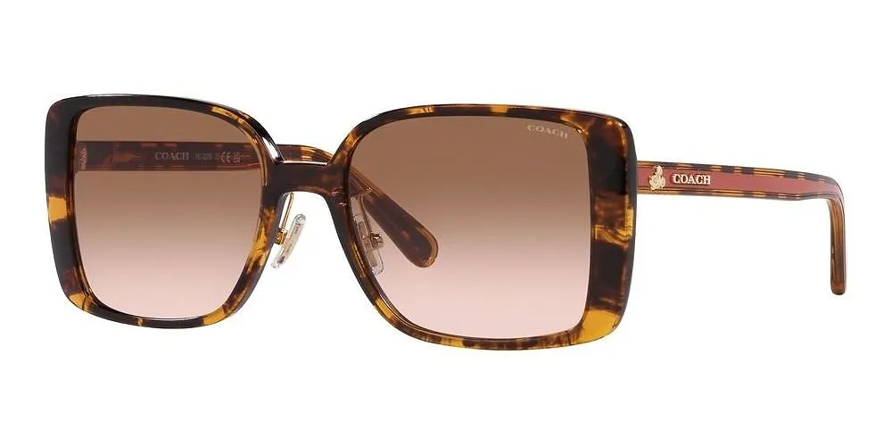 Coach Square Frame Sunglasses