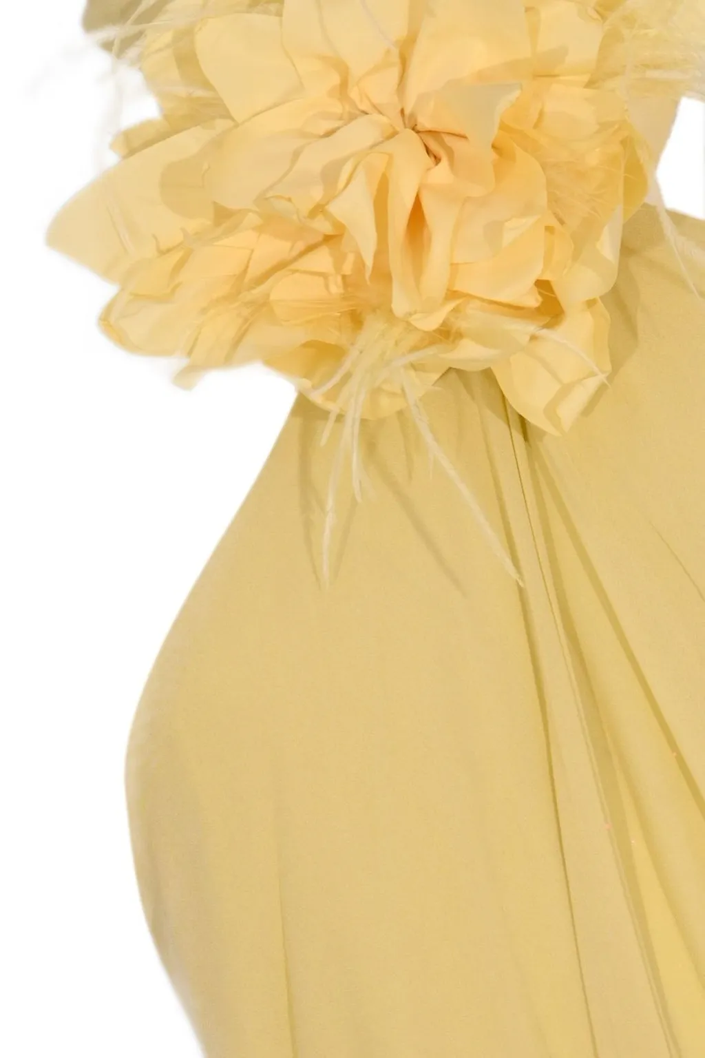 Ruched Halterneck Maxi Dress