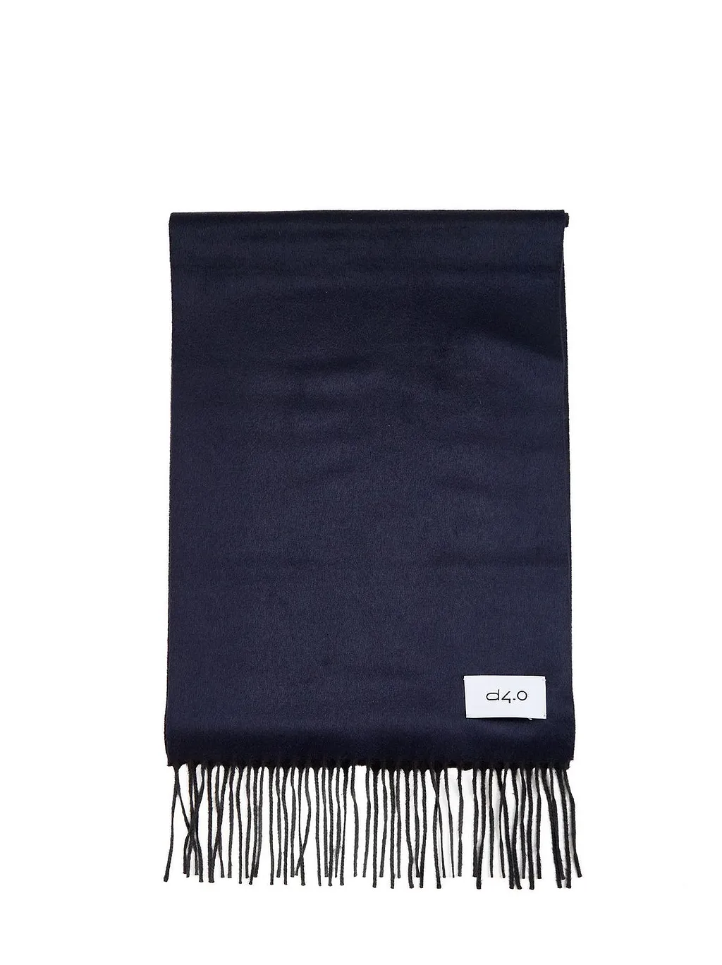 Fringed Rectangular Scarf