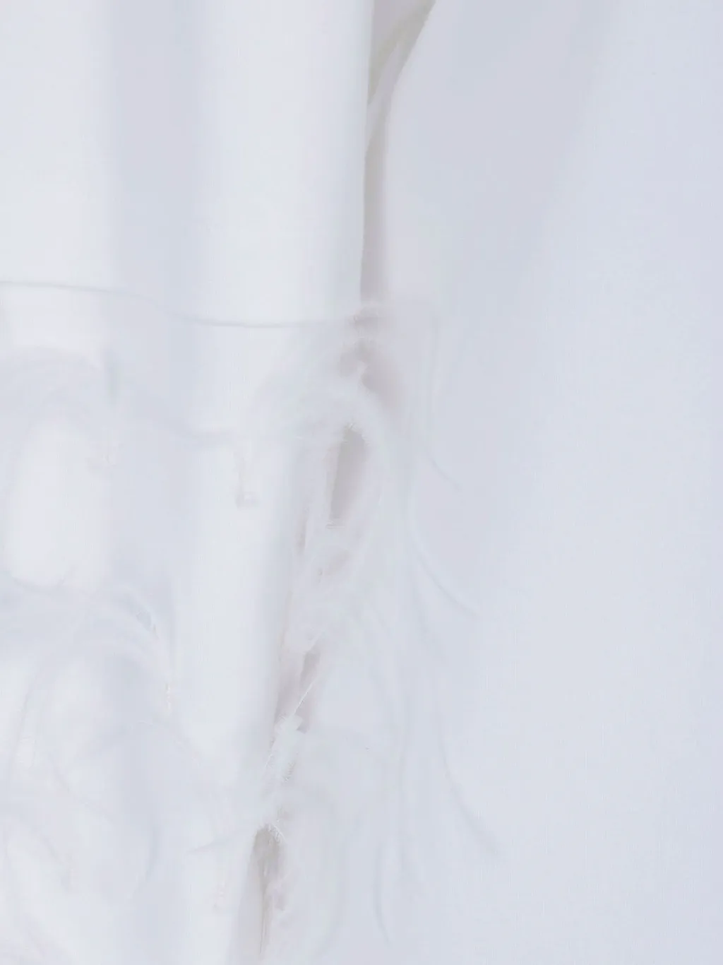 Darkpark Troy Feather-Sleeve Top