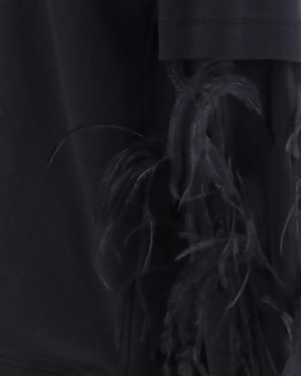 Darkpark Troy Feather-Sleeve Top