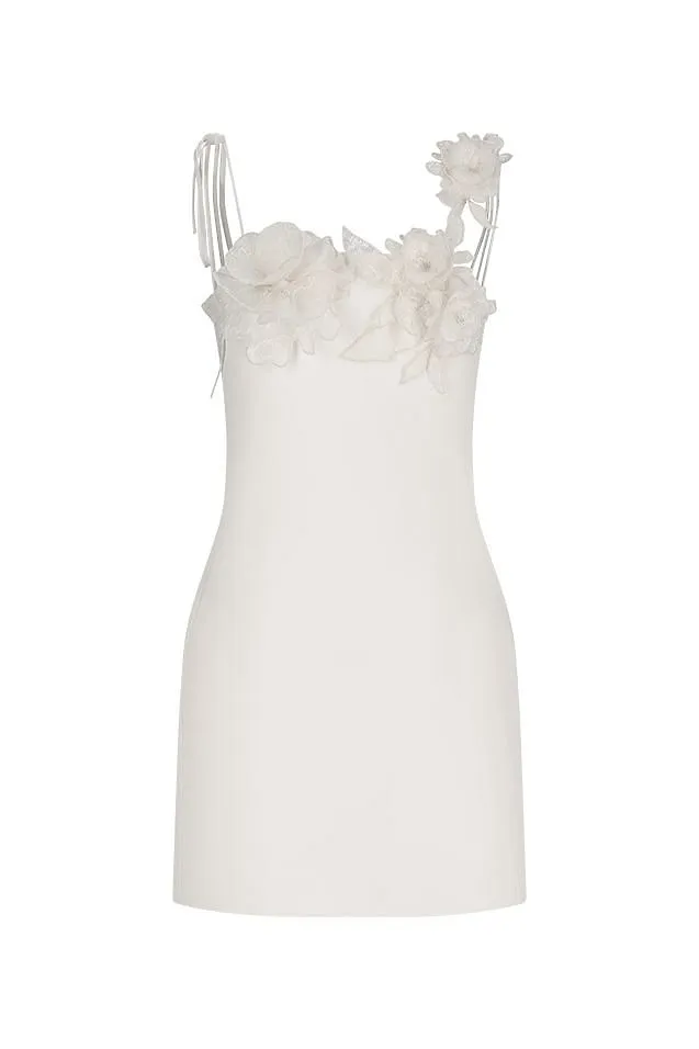 David Koma Lace Rose Flower Embroidered Mini Dress