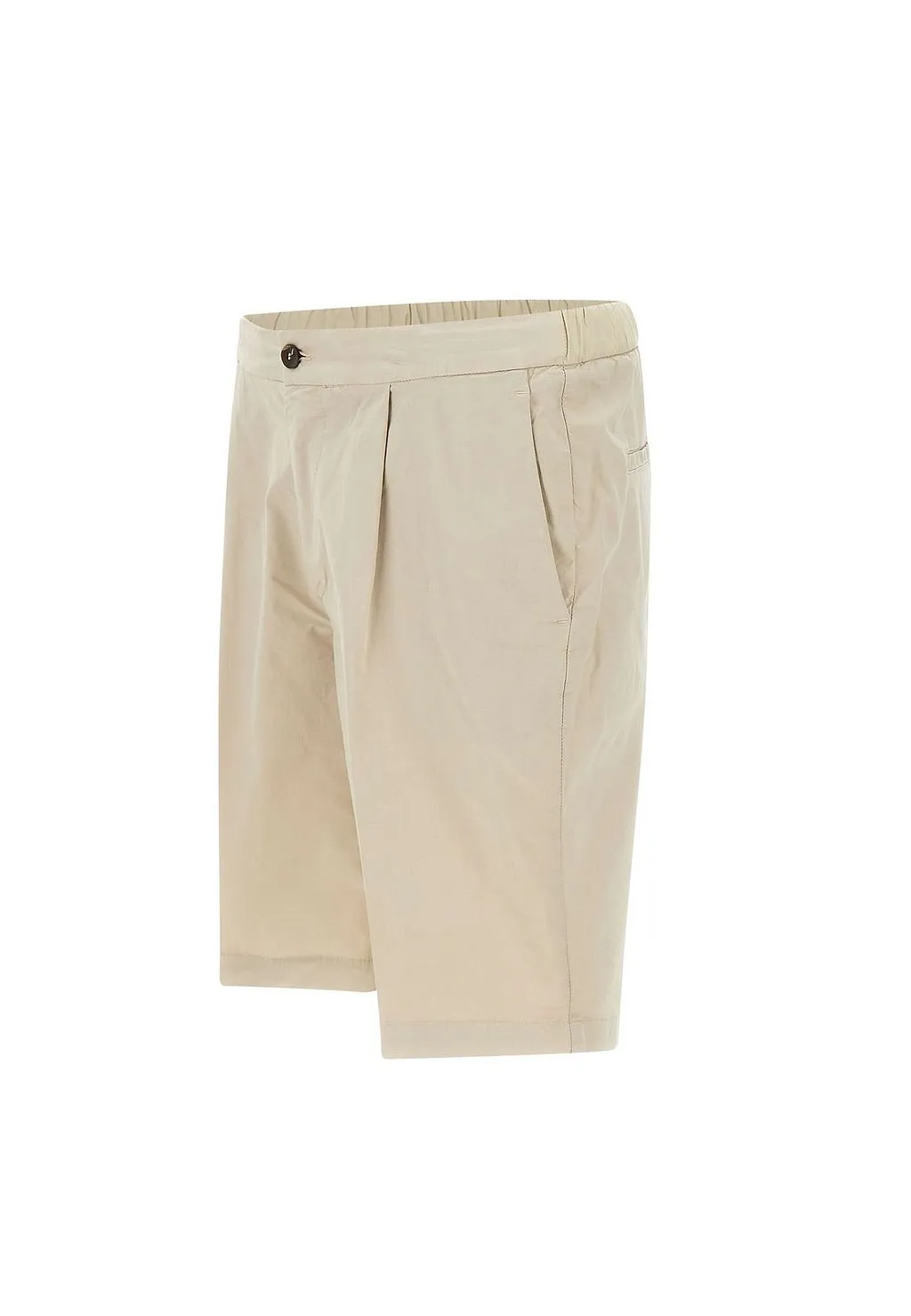 Pleated Regular-Fit Shorts