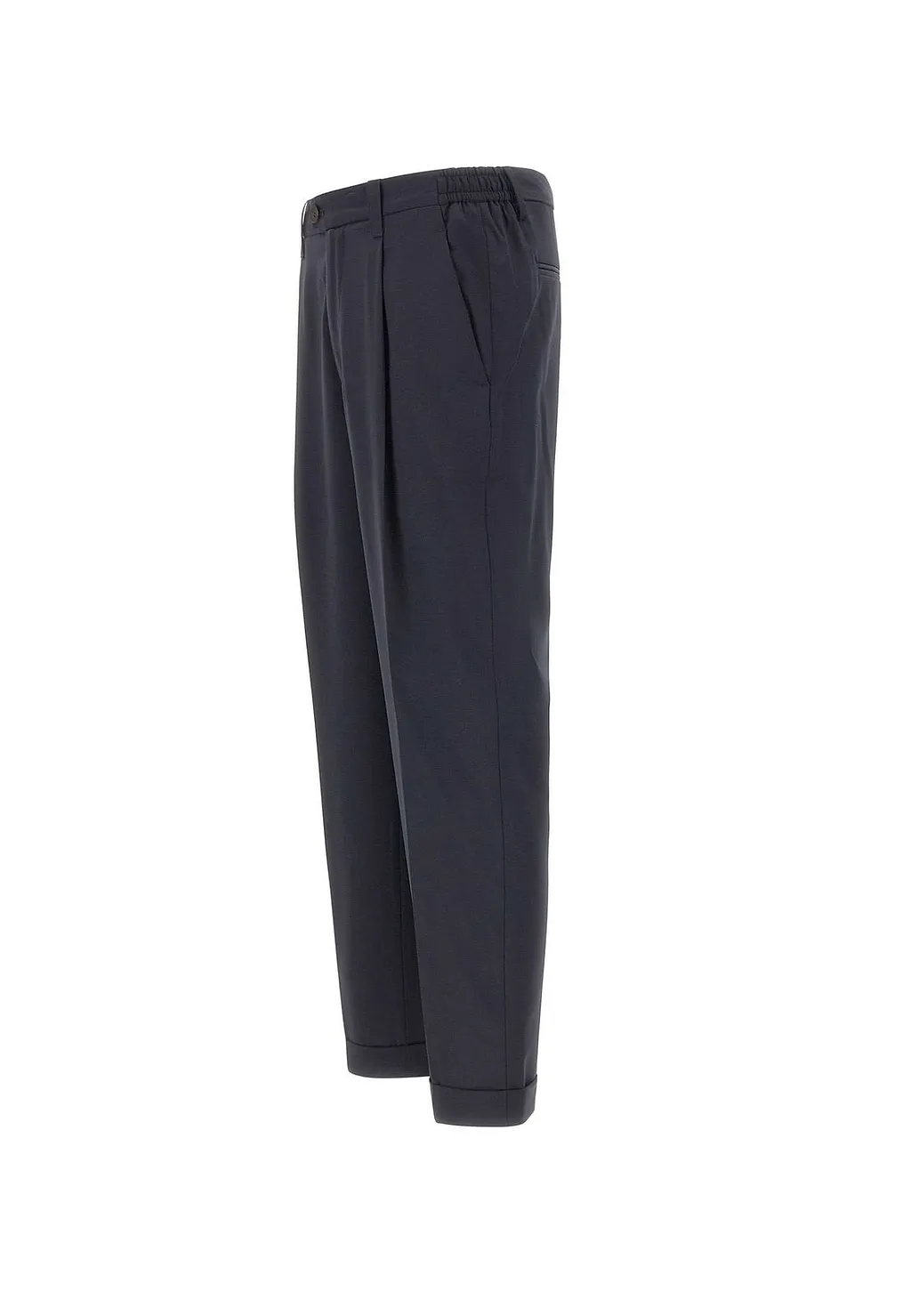 Pleated Tailored Pants