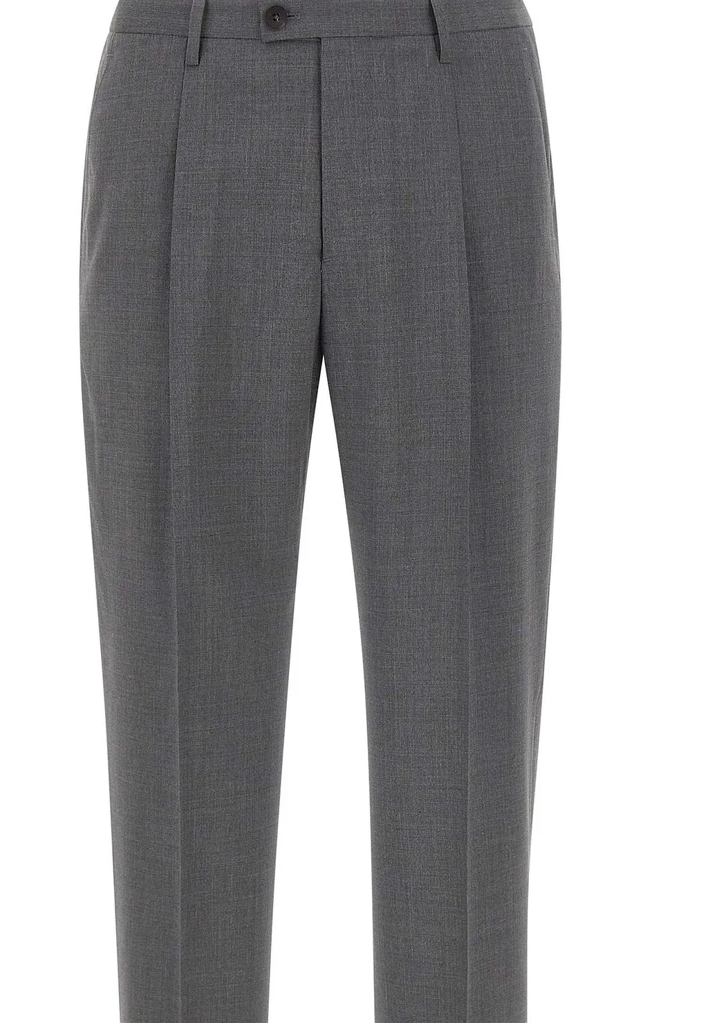 Devore Pleated Tailored Pants