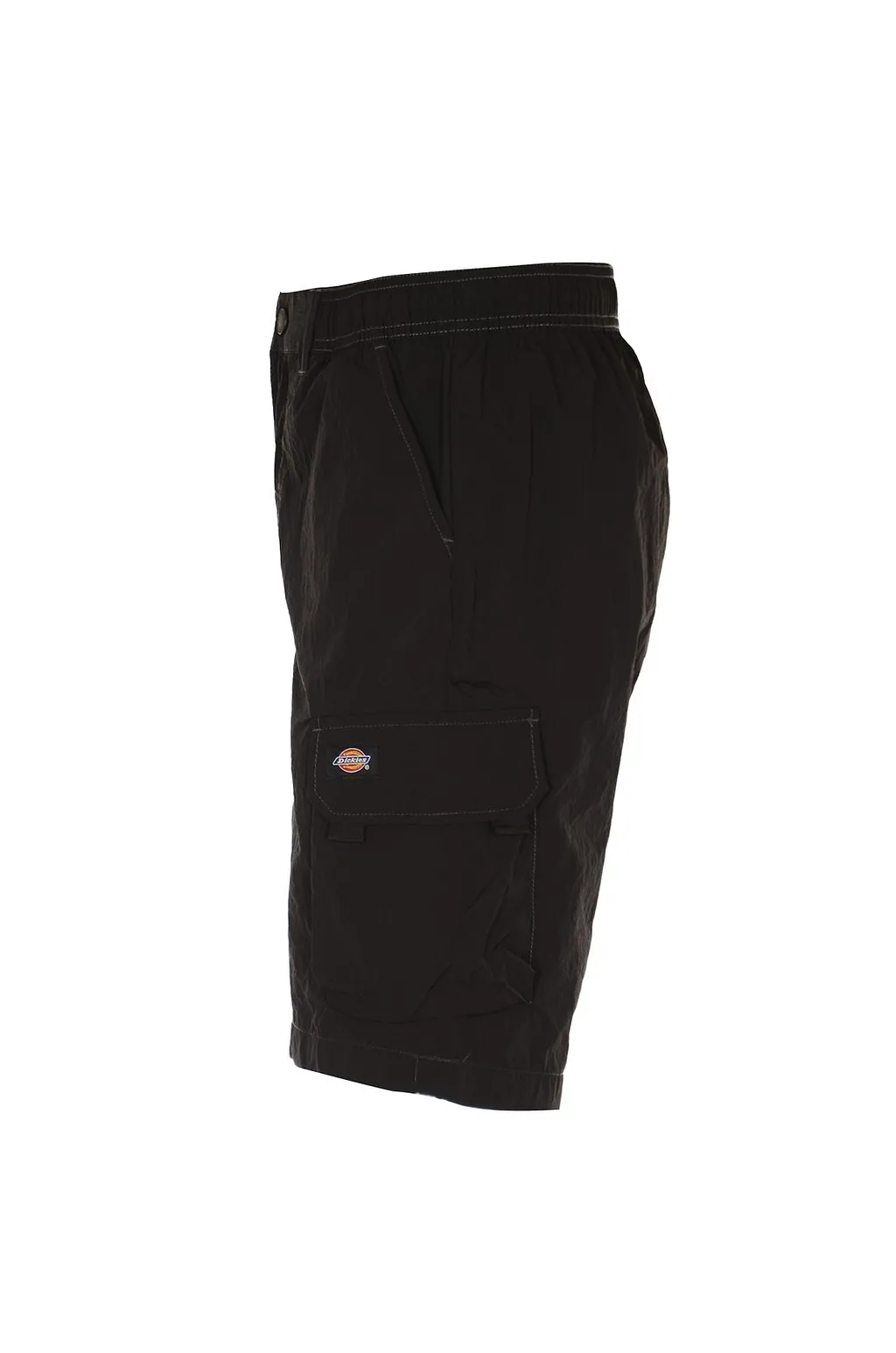 Dickies Jackson Cargo Shorts