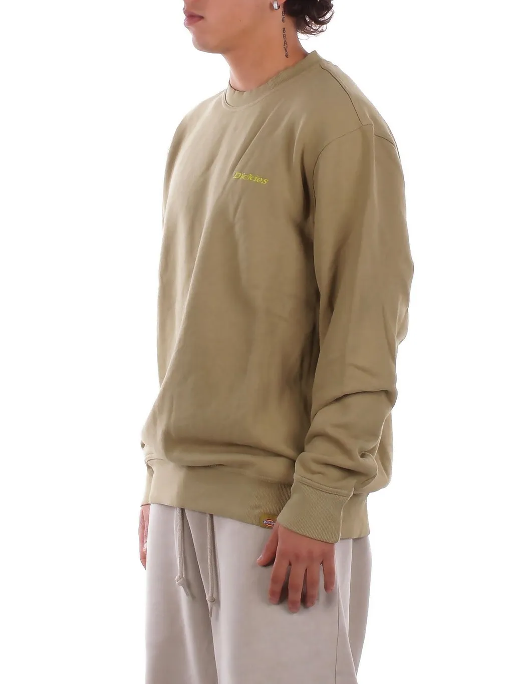 Dickies Logo Embroidered Plentywood Sweatshirt