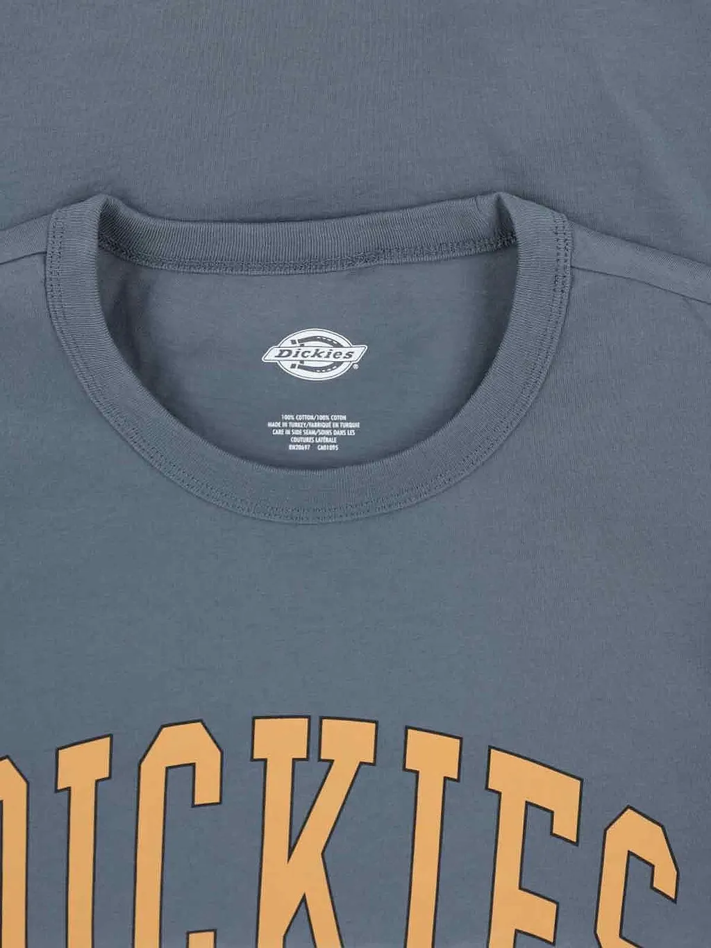 Dickies Logo Print T-Shirt