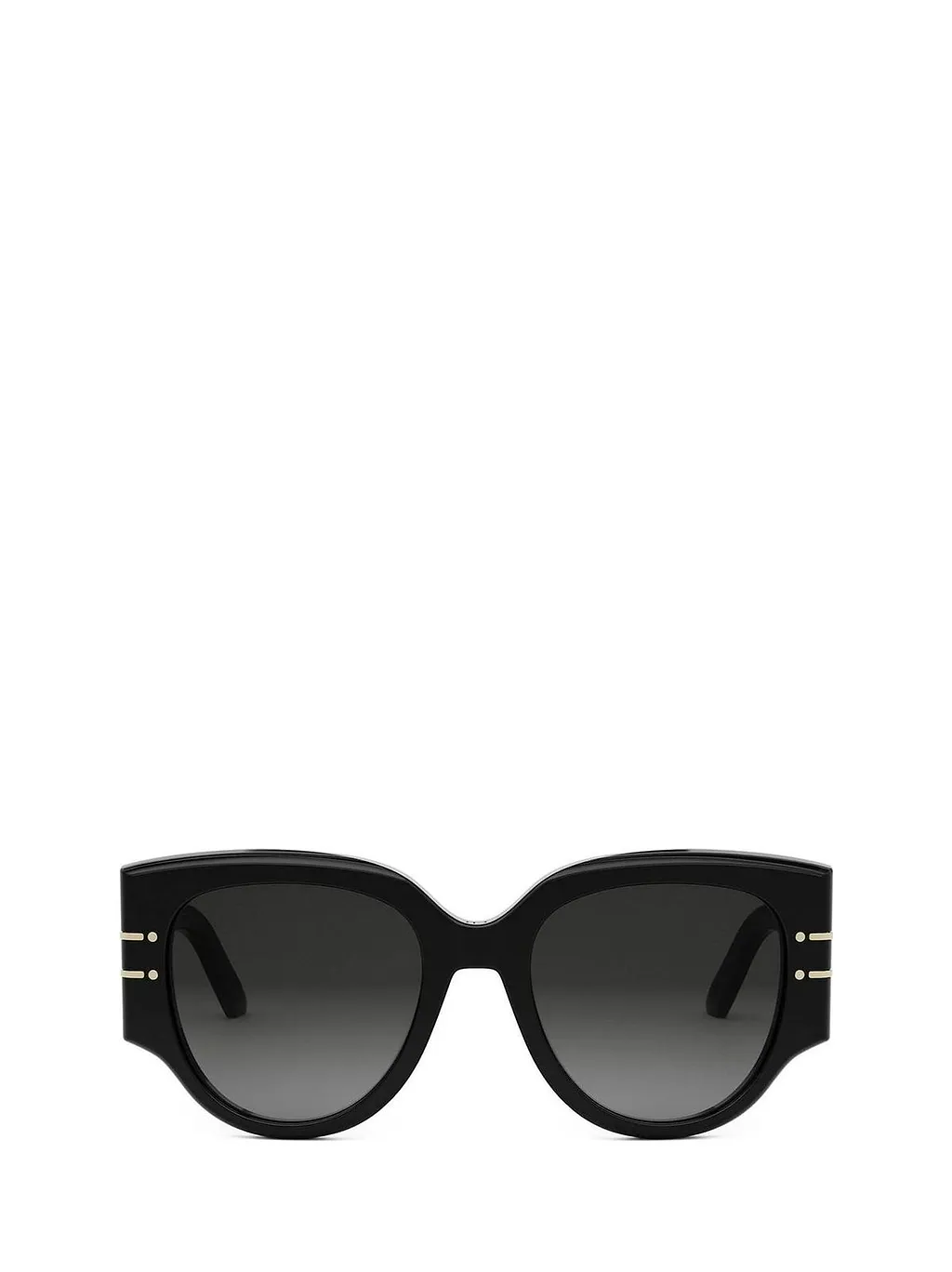 Diorsignature R 2 I Sunglasses