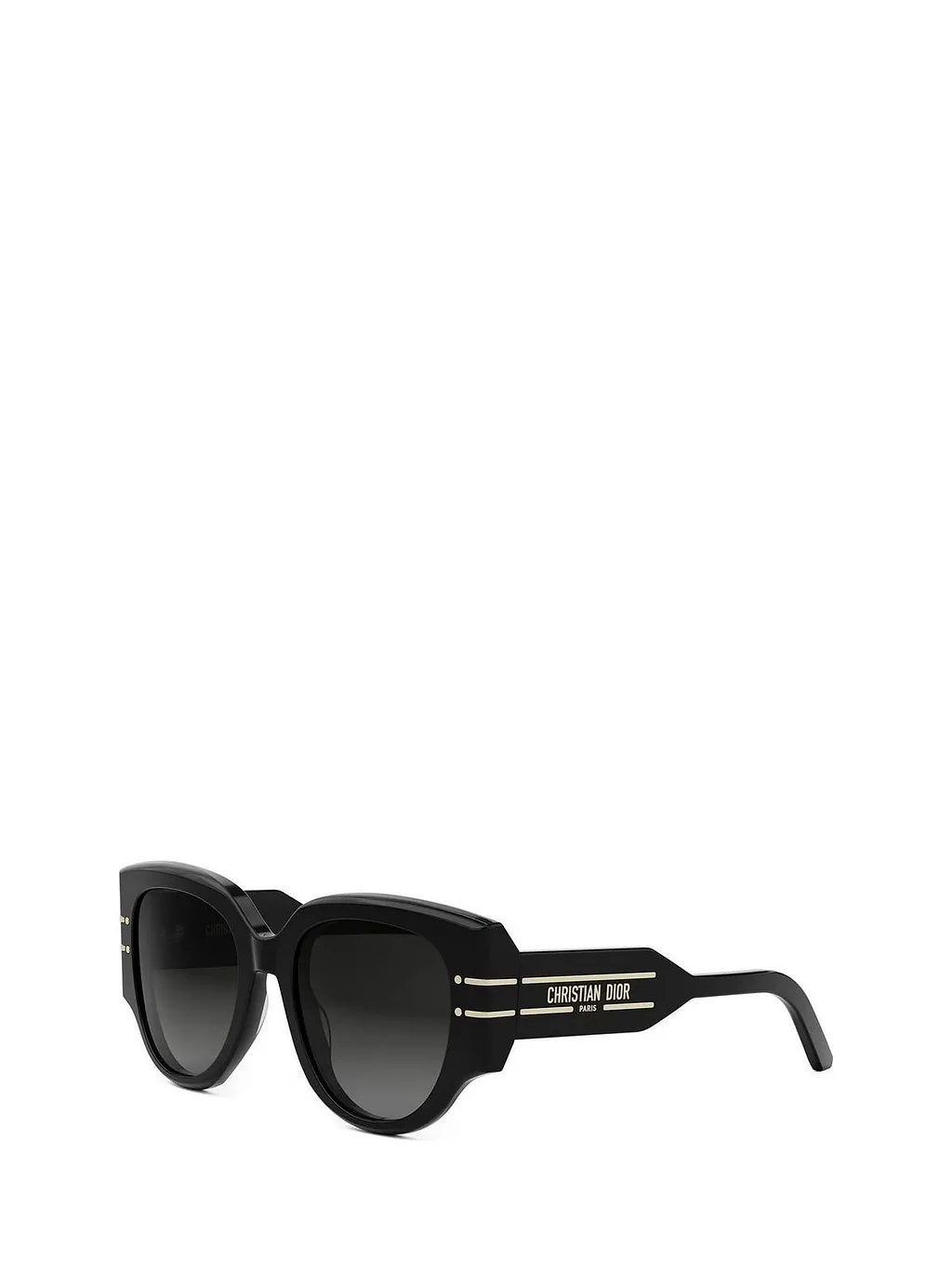 Diorsignature R 2 I Sunglasses