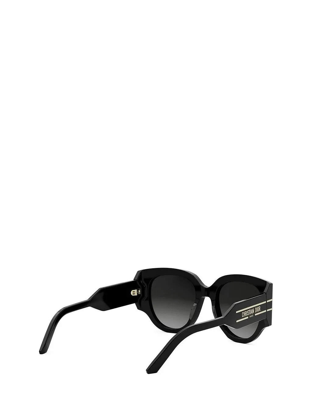 Diorsignature R 2 I Sunglasses