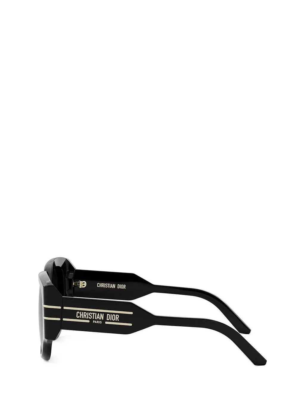 Diorsignature R 2 I Sunglasses