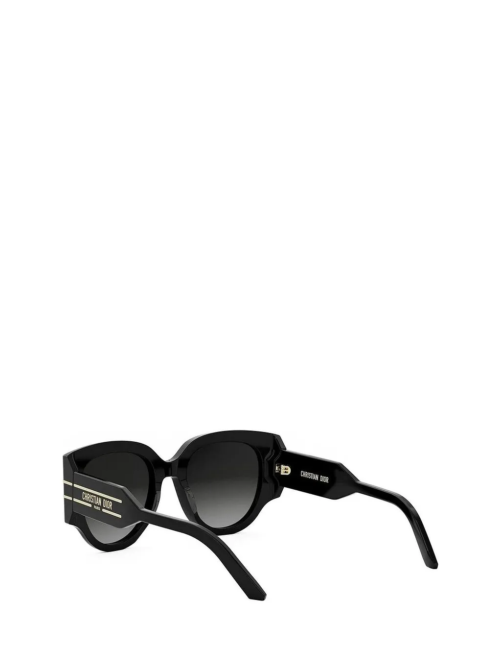 Diorsignature R 2 I Sunglasses