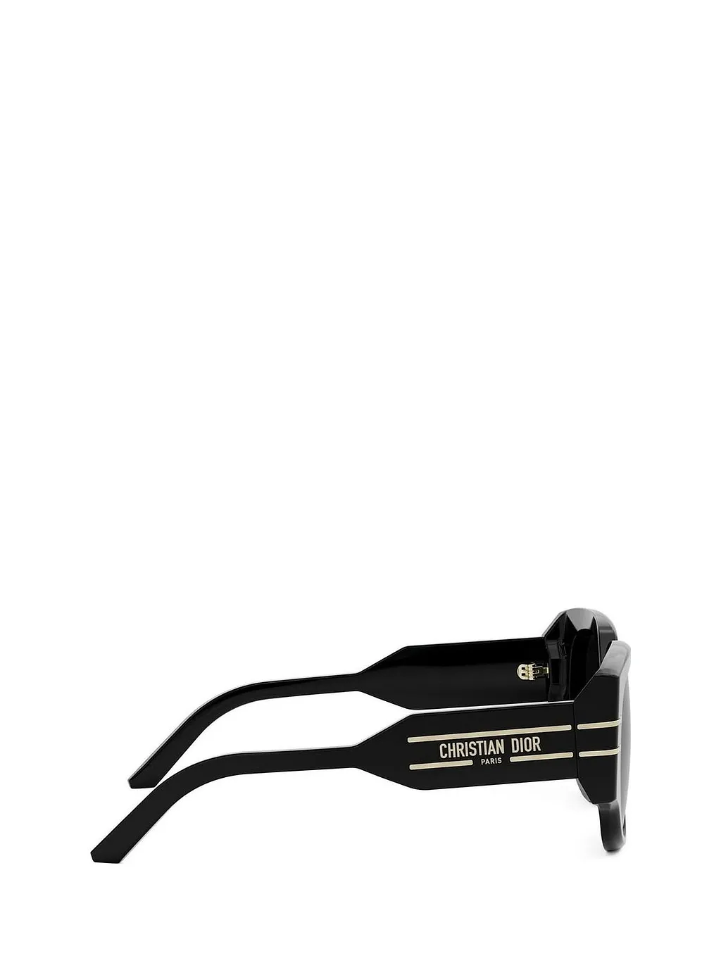 Diorsignature R 2 I Sunglasses