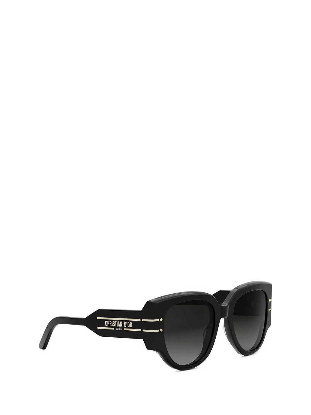 Diorsignature R 2 I Sunglasses