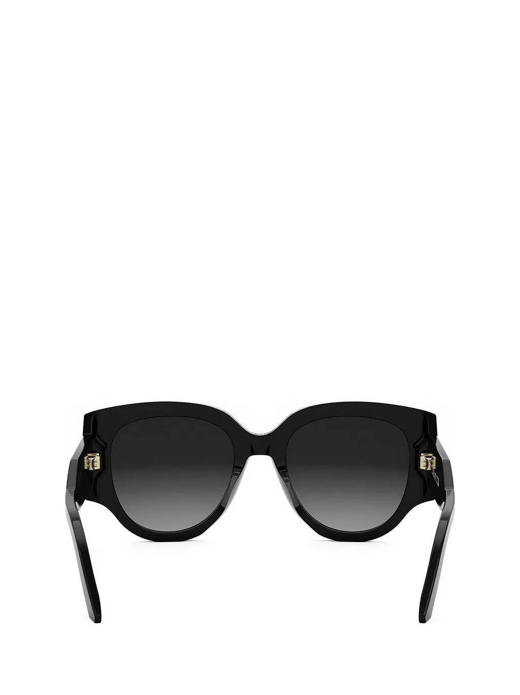 Diorsignature R 2 I Sunglasses