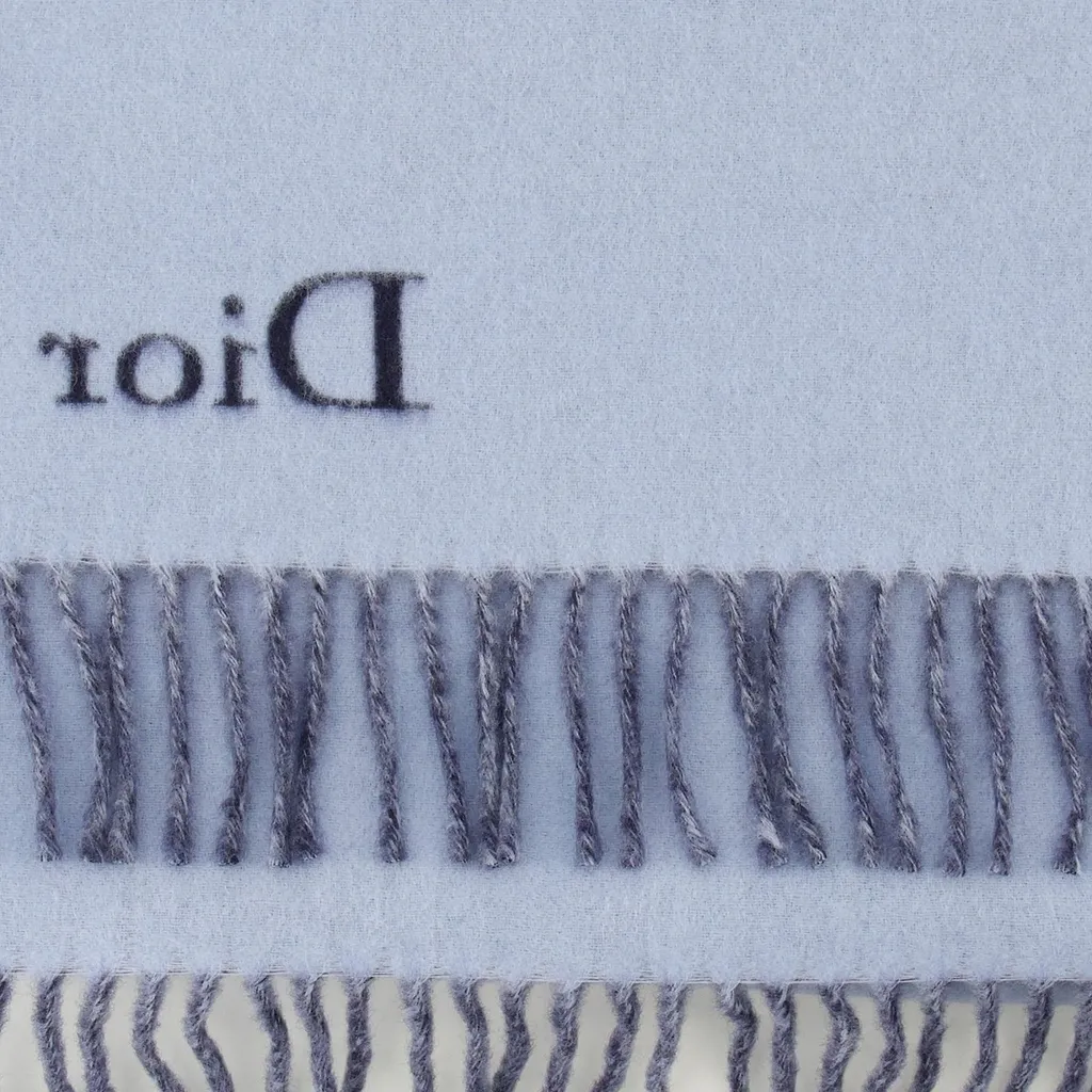 Dior Reversible Fringed Scarf