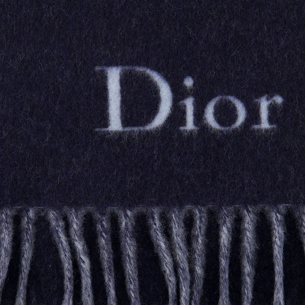 Dior Reversible Fringed Scarf