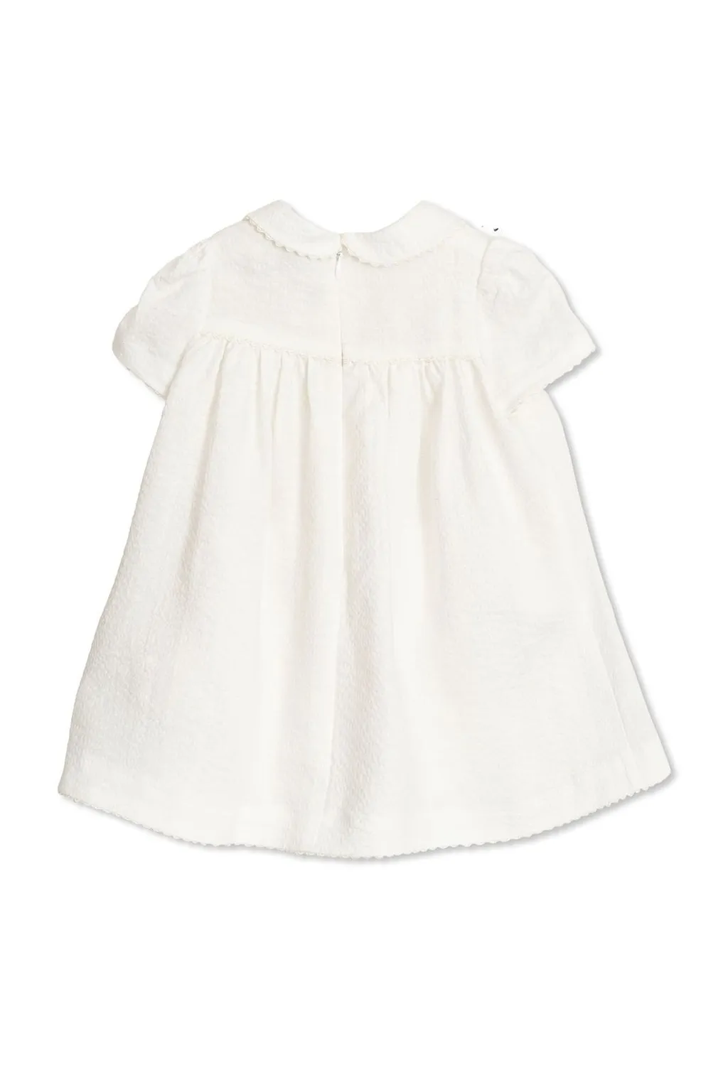 Dolce & Gabbana Kids Peter Pan Collar Dress
