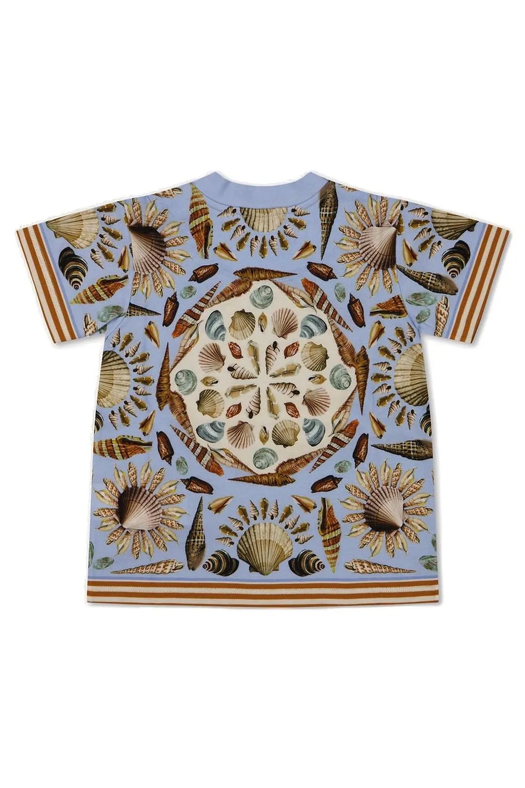 Dolce & Gabbana Kids Shell Printed T-Shirt