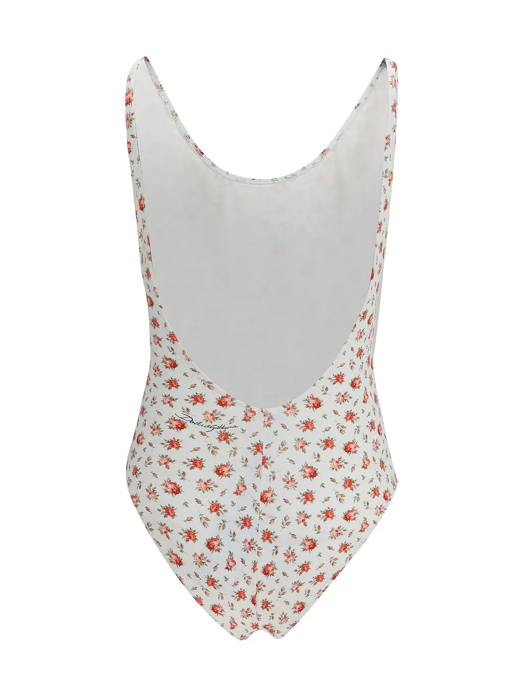 Dolce & Gabbana Small Rose-Printed One-Piece Swimsuit