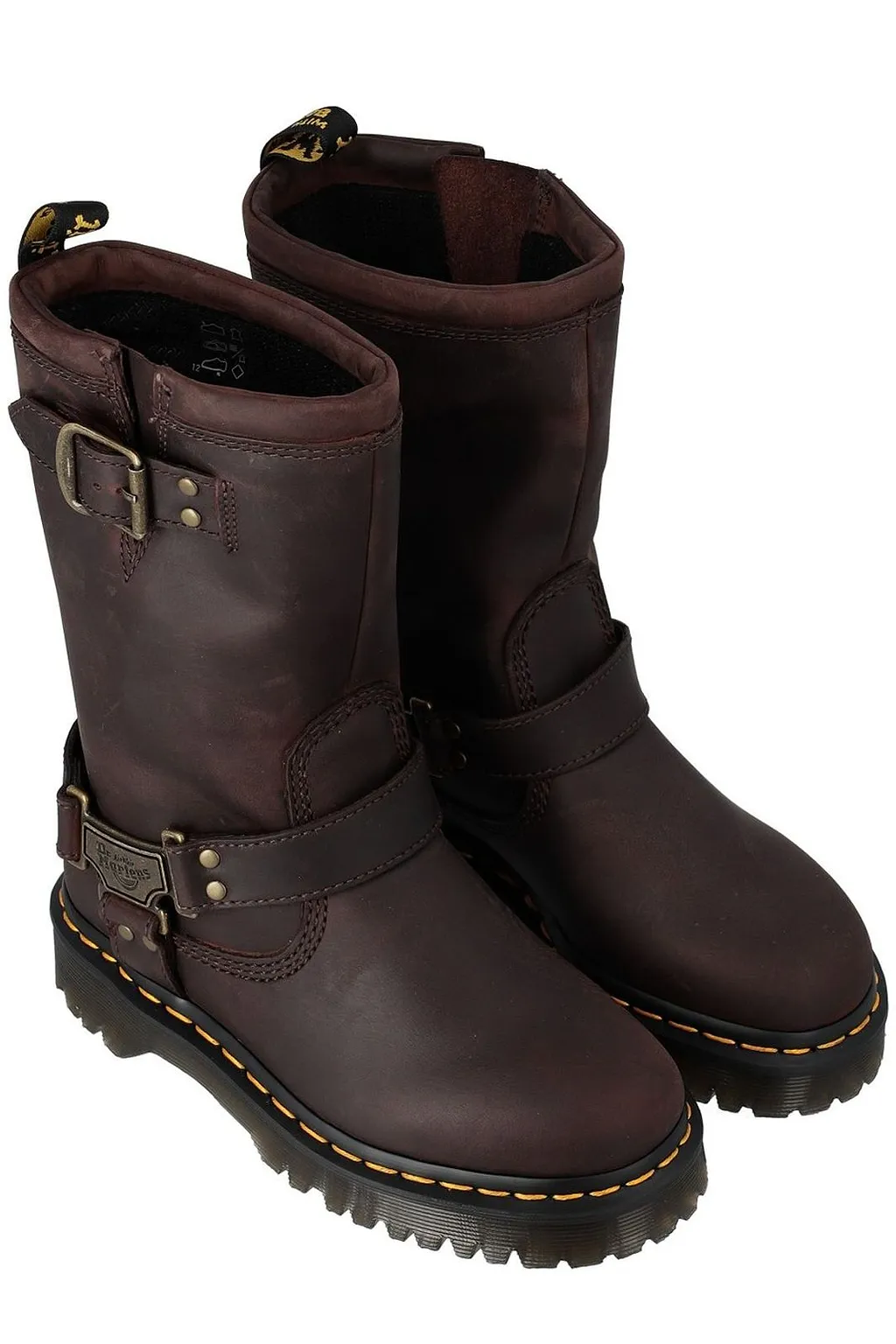 Dr. Martens Anistone Hi Biker Boots