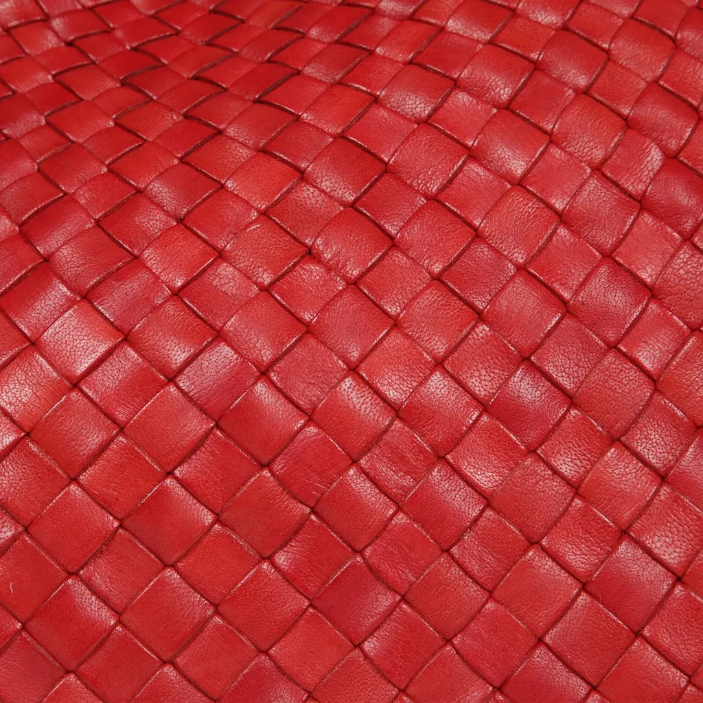 Dragon Diffusion Santa Rosa Handwoven Shoulder Bag