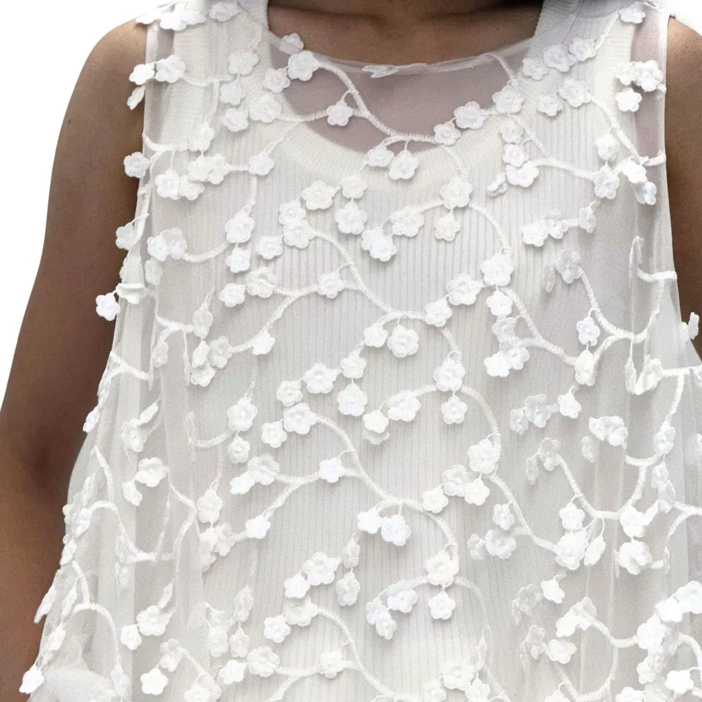 Floral Embroidered A-Line Dress