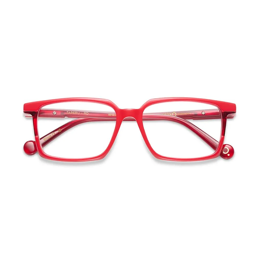 Etnia Barcelona Tareru Rectangular Glasses